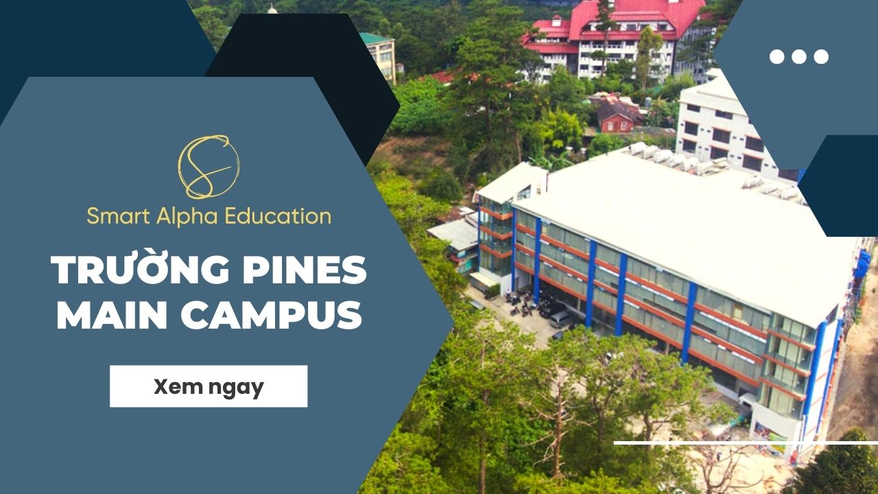 Trường Anh Ngữ PINES – PINES INTERNATIONAL ACADEMY Main Campus