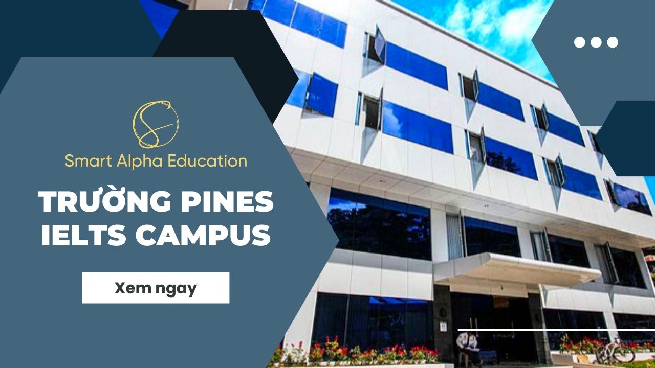 Trường Anh Ngữ PINES – PINES International Academy – IELTS Campus